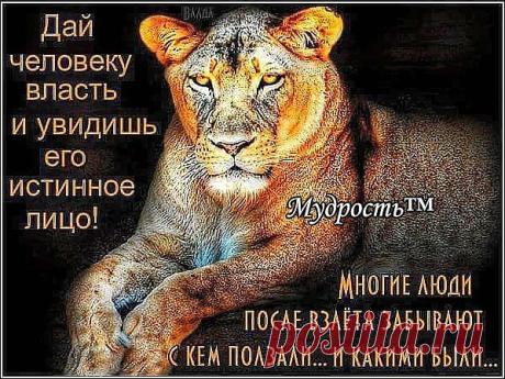 Интересные новости