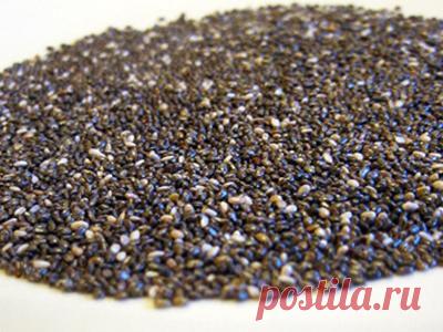 Корзина добродетелей