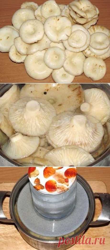 Засолка груздей горячим способом