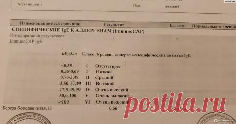 аллергия...что такое НОрмы по классам-36-1qG-lqG4: 960 изображений найдено в Яндекс Картинках