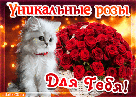 вам прислали поздравление!