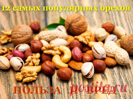 12 самых популярных орехов - польза и вред, как хранить &amp;raquo; Женский Мир