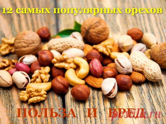 12 самых популярных орехов - польза и вред, как хранить &raquo; Женский Мир