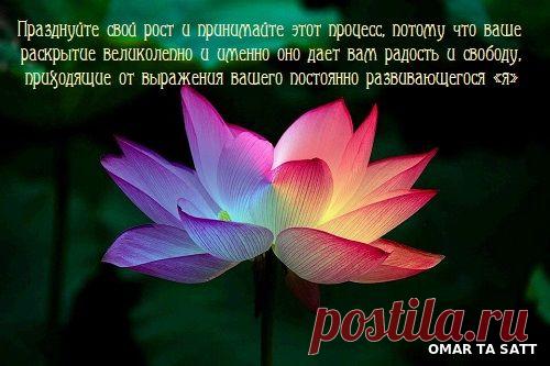 Архангел Гавриил (ежедневные послания) ~ 24 января 2021 г. Позво – СОТВОРЧЕСТВО В СВЕТЕ, пользователь Татьяна Бабаян | Группы Мой Мир