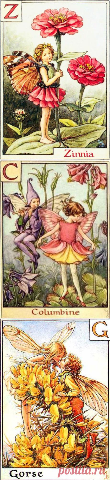 Альбом «Сесиль Мери Баркер» Цветочные эльфы