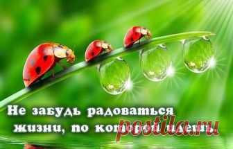 РАДУЙСЯ ЖИЗНИ ПЕСНЕ НЕБУ И БОГУ