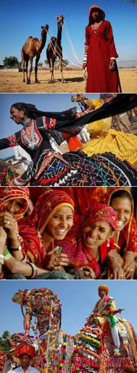 Тур в Раджастан (Индия): Ярмарка верблюдов в Пушкаре (Пушкар Мела), фестиваль огней Дивали, 18.10.-01.11. 2014г. Фототур по Раджастану.