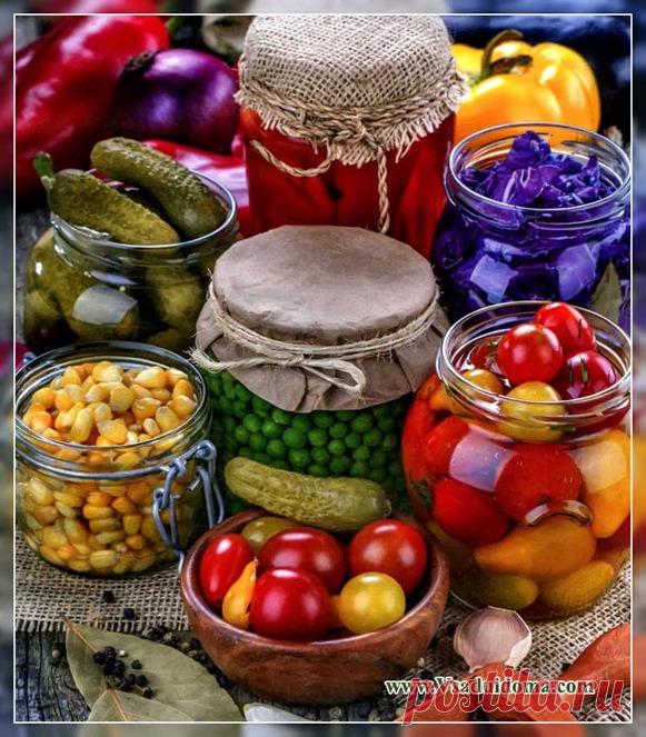 Заготовки на зиму - рецепты | Сайт о саде, даче и комнатных растениях.