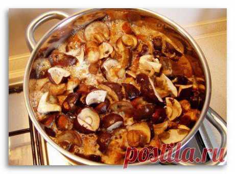 Грибы валуи: как готовить их вкусно :: SYL.ru