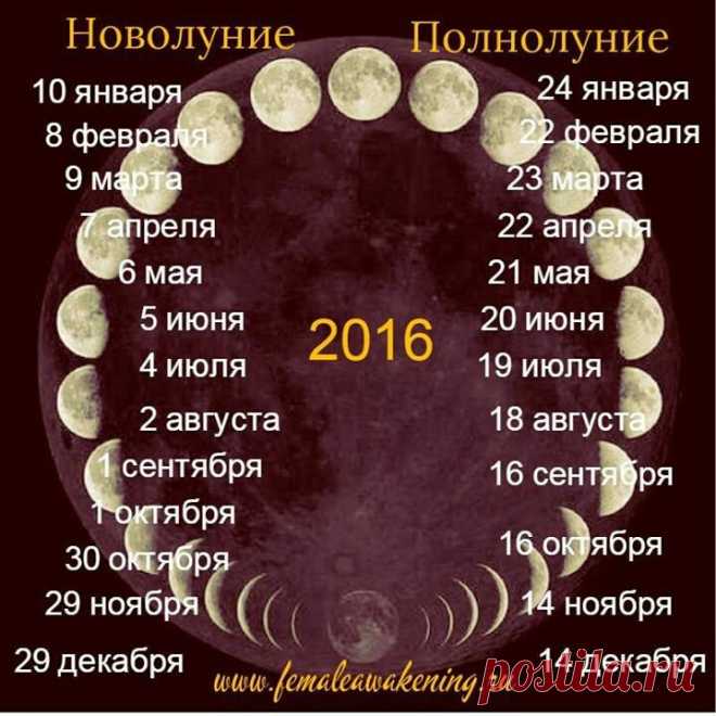 (1) Одноклассники