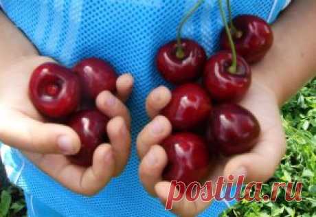 (93) Одноклассники