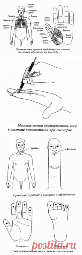 Здоровье и альтернативная медицина. Лечение без лекарств. Скорая помощь.