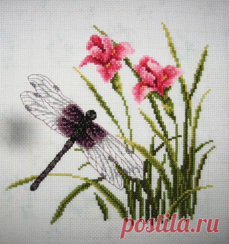 по китайскому набору