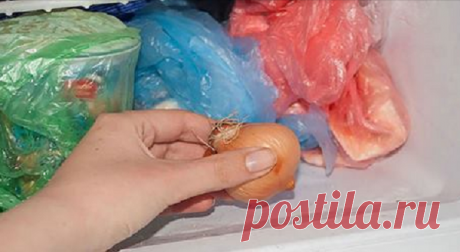 Моя мама всегда кладет лук в морозилку. Когда узнала зачем, стала делать так же! Надо же! Столько лет куховарю и не знала об этих хитростях