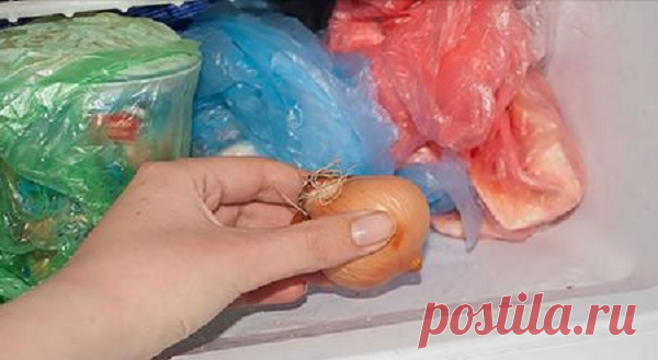 Моя мама всегда кладет лук в морозилку. Когда узнала зачем, стала делать так же! Надо же! Столько лет куховарю и не знала об этих хитростях