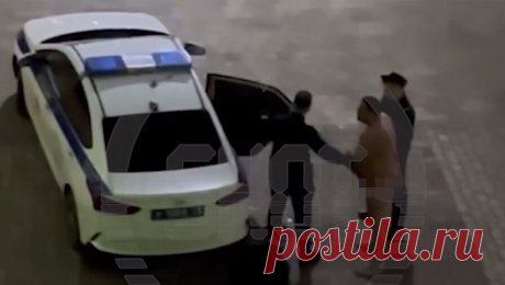 Россиянина задержали за пьяный дебош и за то, что выкинул кота из окна 18-го этажа. Петербуржца задержали за дебош в своей квартире. Об этом сообщает Telegram-канал Shot. Инцидент произошел на Среднерогатской улице. По данным источника, мужчина находился в состоянии алкогольного опьянения. Он разгромил квартиру, после ...