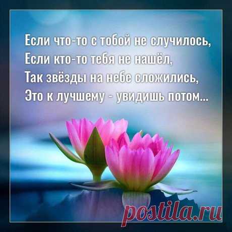 Если что-то с тобой не случилось, если кто-то тебя не нашёл, так звёзды на небе сложились…
Фото с просторов интернета Фото с просторов интернета Если что-то с тобой не случилось, Если кто-то тебя не нашёл, Так звёзды на небе сложились, Это к лучшему — увидишь потом. Вас ведут максимально удачно, Выбирают всегда лучший путь, Но вы этому сопротивляетесь, Не туда хотите свернуть. Кто услышал наши подсказки, До конца жизни благодарил, Верил […]
Читай дальше на сайте. Жми подробнее ➡