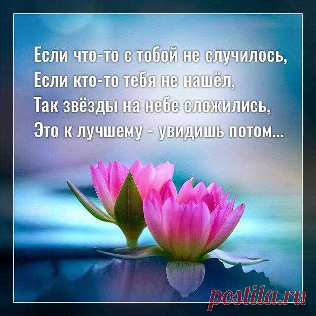 Если что-то с тобой не случилось, если кто-то тебя не нашёл, так звёзды на небе сложились…
Фото с просторов интернета Фото с просторов интернета Если что-то с тобой не случилось, Если кто-то тебя не нашёл, Так звёзды на небе сложились, Это к лучшему — увидишь потом. Вас ведут максимально удачно, Выбирают всегда лучший путь, Но вы этому сопротивляетесь, Не туда хотите свернуть. Кто услышал наши подсказки, До конца жизни благодарил, Верил […]
Читай дальше на сайте. Жми подробнее ➡