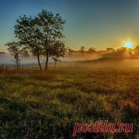 Утреннее фото | 297 фотографий