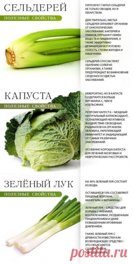 Овощи-лекарства и их полезные свойства