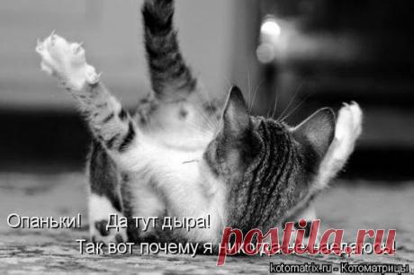 Анатолий Кучерявенко – Google+