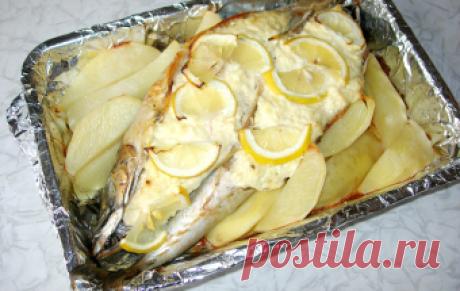 Фаршированная скумбрия, запеченная в духовке. Обалденный рецепт! / Видео-рецепты / TVCook: пошаговые рецепты с фото