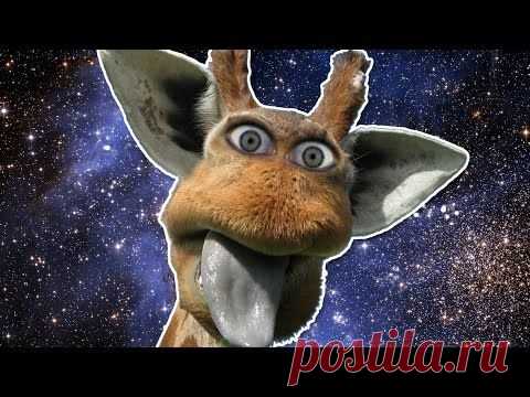 Игра Атака жирафа (Giraffe attack) | АЙФОН СТИВА ДЖОБСАОписание игры:
Специально разработанный аппарат позволил увеличить длину шеи жирафа до таких громадных размеров, что она без проблем дотянулась бы до космического пространства. Ракетоносители беспрепятственно собирались туда ее доставить, но внезапный бомбовый удар спутал все карты