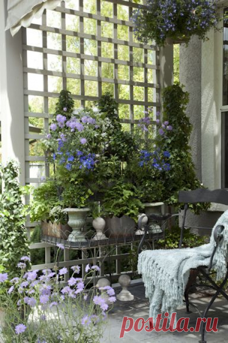 CHEZ FIFI: SUMMER ROMANCE