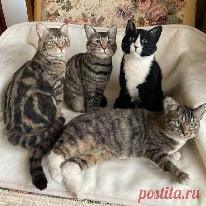 ​Невероятные кошки в технике валяния из шерсти: идеи для творческого вдохновения