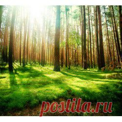 Природа