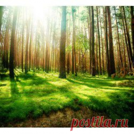 Природа
