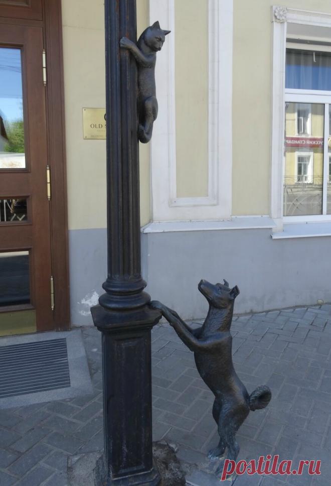 Кот и пёс
Кострома