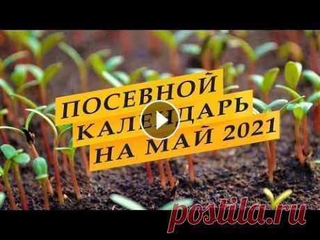 Лунный посевной календарь садовода-огородника на май 2021 года. Лунный посевной календарь на май 2021 года. Май – один из самых активных и ответственных месяцев для садоводов и огородников. Составить четкий план ра...