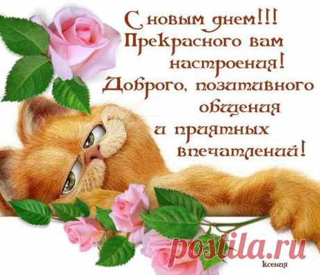 пожелание