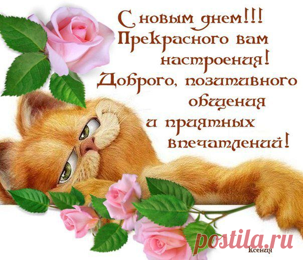 пожелание