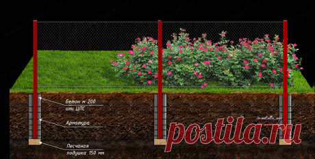 Забор Клинцы - «Из металла»