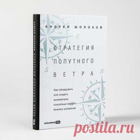 Стратегия попутного ветра. Как обнаружить или создать асимметрии, способные придать бизнесу ускорение — купить книгу Андрея Шолохова в «Альпина Паблишер»