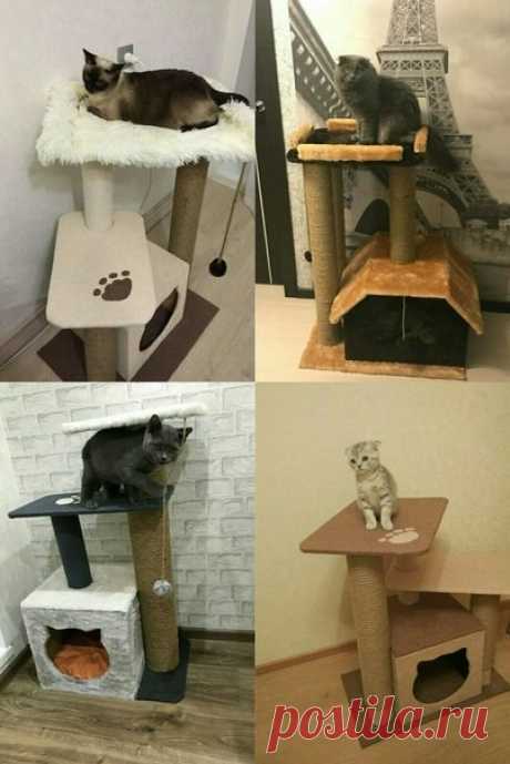 Работа нашей подписчицы! Делает сама)))Вдохновляет радовать котиков)))