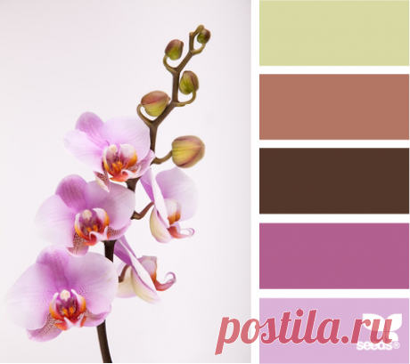 Цветы, деревья — источник вдохновения! | BepHuK собирает друзей