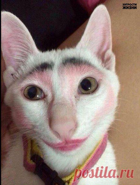 Фотографии на стене сообщества | 32 853 фотографии