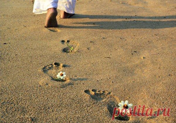 Отзывы о оздоровительном центре Цигун Центр Фенжин - Медицинские центры - Алматы