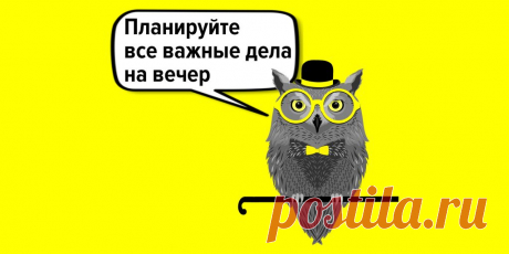 Как спать до 9 утра и зарабатывать миллионы: истории успешных сонь Далеко не все успешные люди просыпаются с первыми лучами солнца. Можно поздно вставать и преуспевать в бизнесе.
