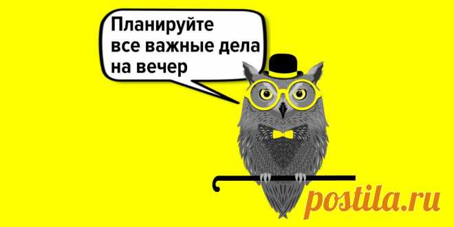 Как спать до 9 утра и зарабатывать миллионы: истории успешных сонь Далеко не все успешные люди просыпаются с первыми лучами солнца. Можно поздно вставать и преуспевать в бизнесе.