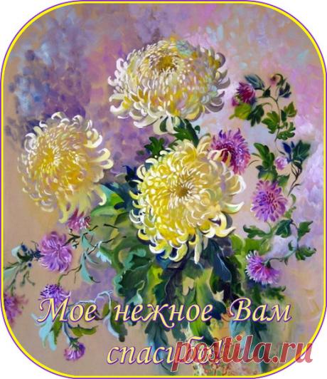 ОТКРЫТКИ ДЛЯ ВСЕХ СО СЛОВАМИ: СПАСИБО, БЛАГОДАРЮ, ПОЖАЛУЙСТА. - ОБЩЕНИЕ И ВСЕ САМОЕ ИНТЕРЕСНОЕ. - Группы Мой Мир