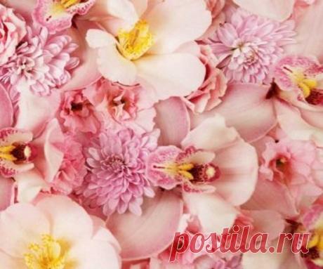 Что означает картина с розами по фен шуй? Фен шуй розы что означают. Цветы и фэн-шуй. Регулярное цветение гибискуса — признак семейного благополучия. Картины, приносящие удачу, богатство, счастье, деньги, благополучие, любовь по фен-шуй 100% Разное Необходимо уделять внимание не только символу, изображенному на картине, но и цвету, а также эмоциональным ощущениям, которые возникают при взгляде на нее.