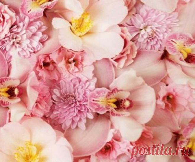 Что означает картина с розами по фен шуй? Фен шуй розы что означают. Цветы и фэн-шуй. Регулярное цветение гибискуса — признак семейного благополучия. Картины, приносящие удачу, богатство, счастье, деньги, благополучие, любовь по фен-шуй 100% Разное Необходимо уделять внимание не только символу, изображенному на картине, но и цвету, а также эмоциональным ощущениям, которые возникают при взгляде на нее.