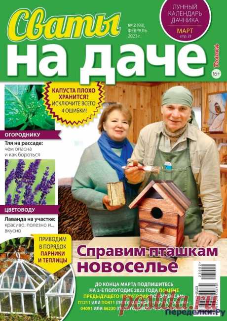 Сваты на даче №2 2023 * Переделки.Ру Сваты на даче №2 2023 Читать журнал ОНЛАЙН