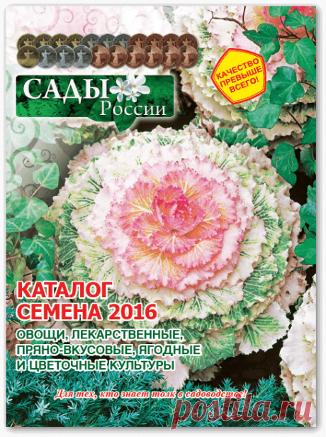 Каталоги Сады России - 2016. Посадочный материал, саженцы, семена – почтой! Научно-производственное объединение Сады России.