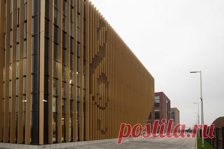 В Калининграде состоится бесплатный музыкальный концерт. В Калининграде на острове Октябрьский состоится посвященный Международному дню музыки концерт. Бесплатное мероприятие пройдет в филиале Центральной музыкальной школы. Гости концерта услышат сольные и ансамблевые выступления молодых музыкантов. Учащиеся кафедр исполнят произведения известных композиторов.