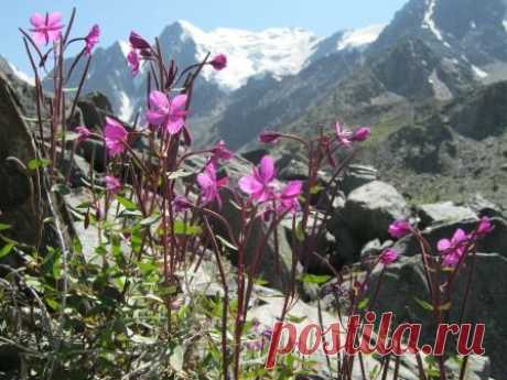 Пешие горные походы